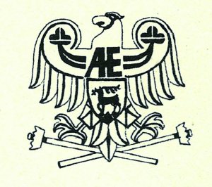 logo-ae-jelonka_kopia